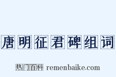 唐明征君碑组词是什么意思的图片